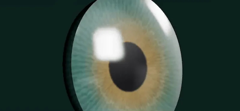 Modelling the eye II: The pupil